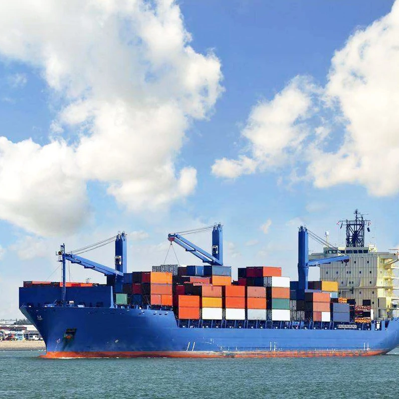 Freight And Forwarding From Fujian To New Zealand Shipping Agent