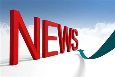 What Are The Transportation Methods For Sea Freight
