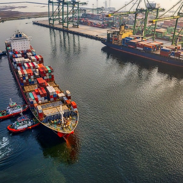 Ocean Agent FCL Refrigerated Cargo Ship To Singapore