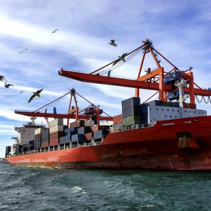 Sea Freight Services From Suzhou To Cameroon