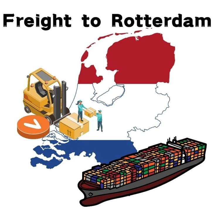 Sea Cargo Services From Shanghai To Rotterdam