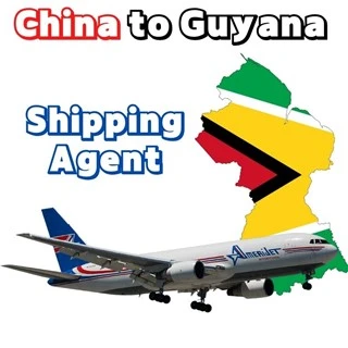 16 Years Shipping From Guangzhou China To Argentina Bolivia Brasil Chile Colombia Ecuador Guyana Paraguay Peru