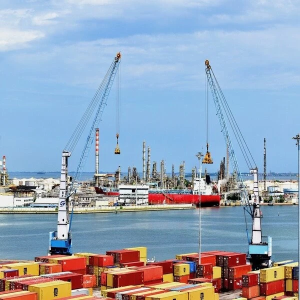 Sea Shipping Reliable Ocean Freight Service Shipping Agent In China Ship To Usa/Uk/France