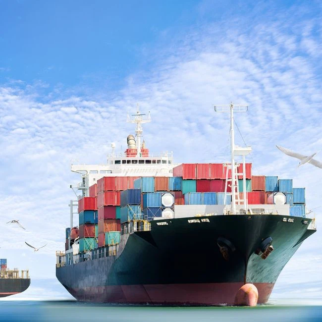 All Ocean Shipping Agency From China To Estonia DDP EXW CIF FOB