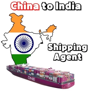 Cargo Agent Service From China To India New Delhi Amazon FBA By Sea Freight FCL & LCL From Shenzhen Work Job Online