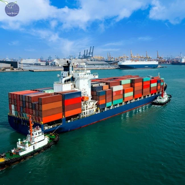 Door To Door Ocean Freight From China To Belgium DDP FOB EXW CIF