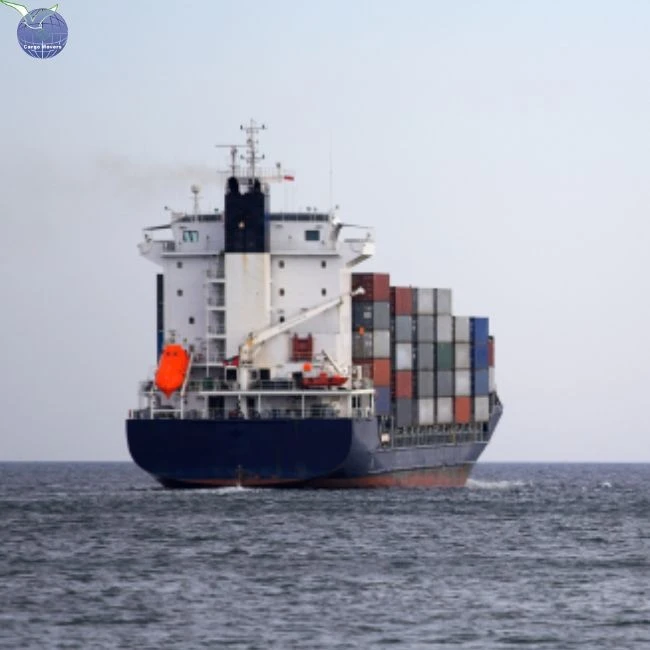 Door To Door Ocean Freight From China To Belgium DDP FOB EXW CIF