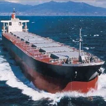 FCL LCL 20GP 40GP Container Sea Transport Sea Freight Shipping From China To Chile