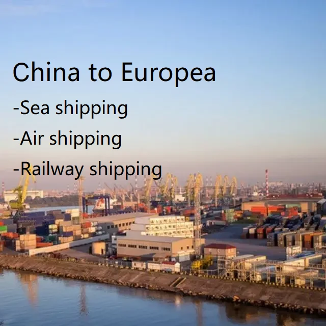 Hangzhou Forwarder Agent Shipping To Sweden