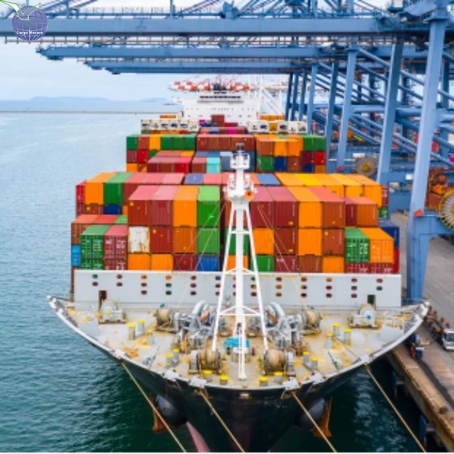 Ocean Freight International Delivery Service From China To Denmark
