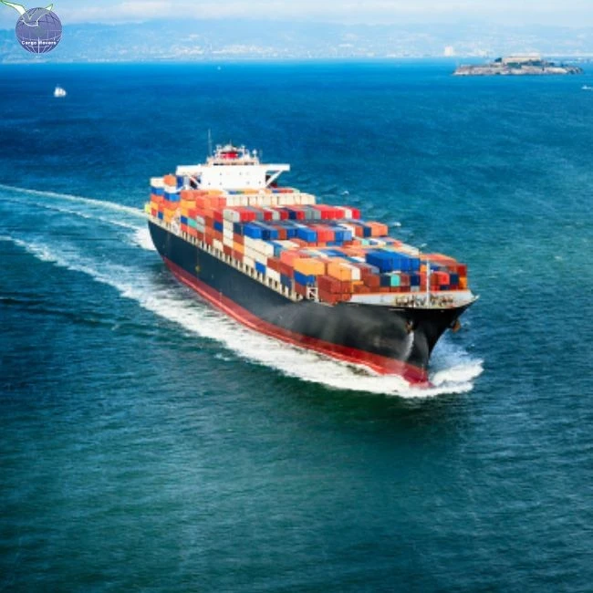 Customs Clearance Sea Freight Shipping Agent From China To Dubai South Africa Johannesburg Best Shipping Price