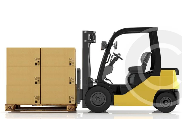 Professional Shipping Agent Sea Freight China To South Africa