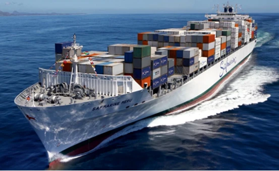 Professional Shipping Agent Sea Freight China To South Africa