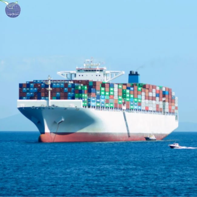 Sea Freight Import From China To Egypt DDP FOB EXW CIF