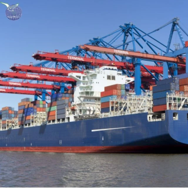 Sea Freight Rates Per KG To Czechia From China DDP FOB EXW CIF