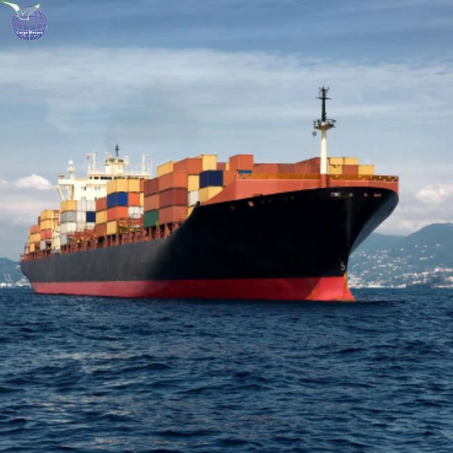 Sea Freight Services From China To Benin Cheap DDP FOB CIF EXW
