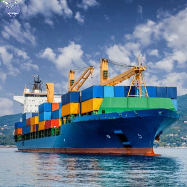 Sea Freight Transport Services From China To Netherlands