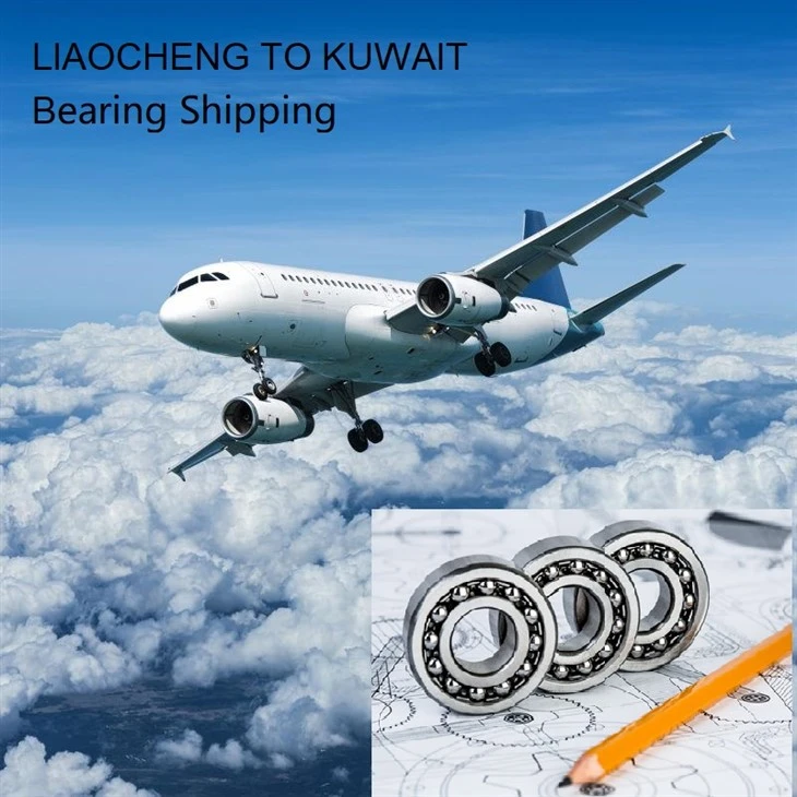 Shandong Liaocheng Bearing Aircraft Transportation To Kuwait