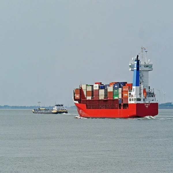 Shenzhen Ocean Freight Forwarder To Africa Port To Port