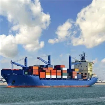 Maritime Transport Service From China To Switzerland