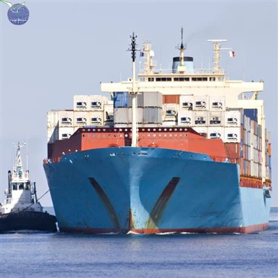 Sea Shipping Container Delivery Cost From China To Croatia FCL LCL