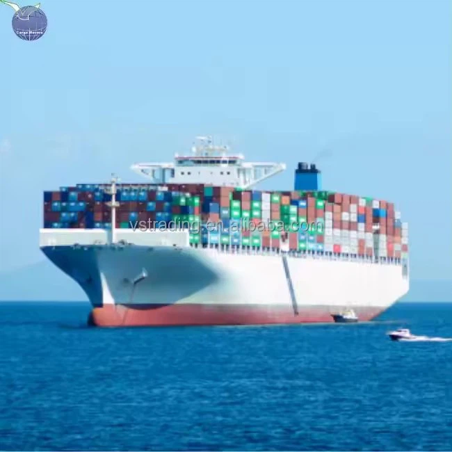 To Tangier Port Sea Freight Container From China